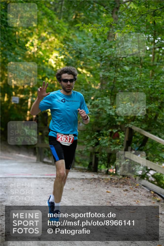 28.09.2025 - 33. Volkslauf durch das schöne Alstertal Patografie http://msf.ph/oto/8966141 28.09.2025 09:29:25 Laufen 2637 meine-sportfotos.de
