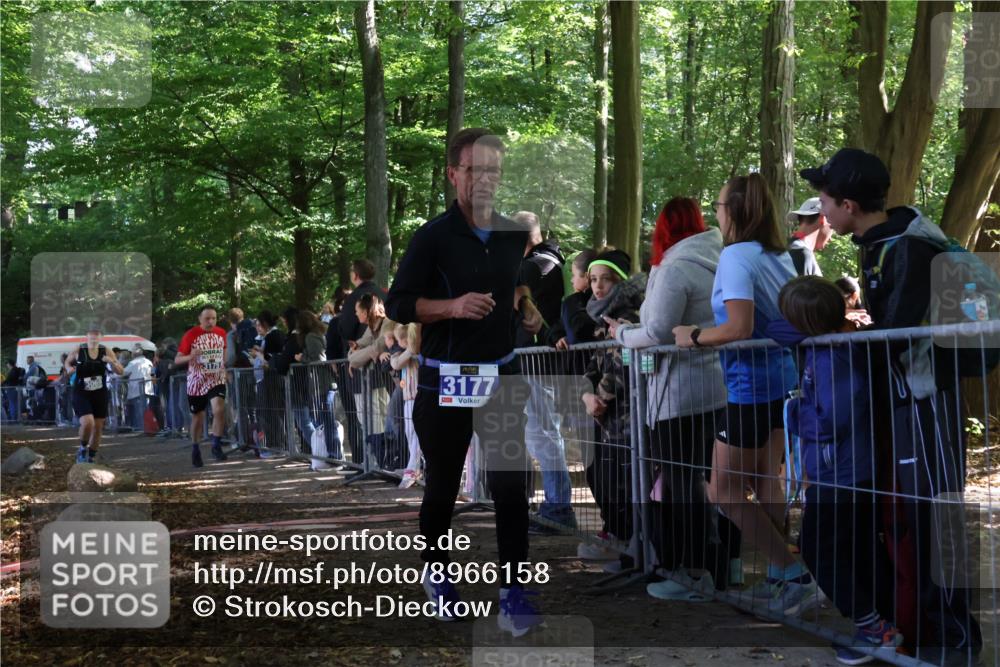 28.09.2025 - 33. Volkslauf durch das schöne Alstertal Strokosch-Dieckow http://msf.ph/oto/8966158 28.09.2025 11:32:26 Ziel 3069, 3175, 3177 meine-sportfotos.de