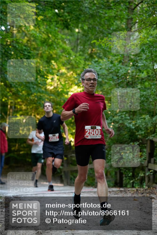 28.09.2025 - 33. Volkslauf durch das schöne Alstertal Patografie http://msf.ph/oto/8966161 28.09.2025 09:30:26 Laufen 2261, 2500 meine-sportfotos.de