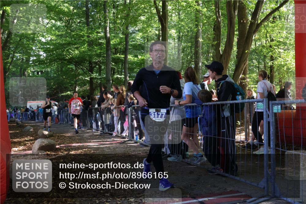 28.09.2025 - 33. Volkslauf durch das schöne Alstertal Strokosch-Dieckow http://msf.ph/oto/8966165 28.09.2025 11:32:26 Ziel 3069, 3175, 3177 meine-sportfotos.de