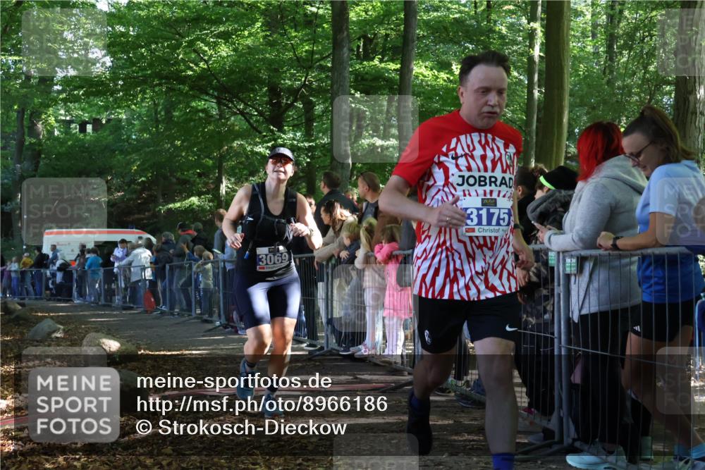 28.09.2025 - 33. Volkslauf durch das schöne Alstertal Strokosch-Dieckow http://msf.ph/oto/8966186 28.09.2025 11:32:29 Ziel 3069, 3141, 3175, 3217 meine-sportfotos.de