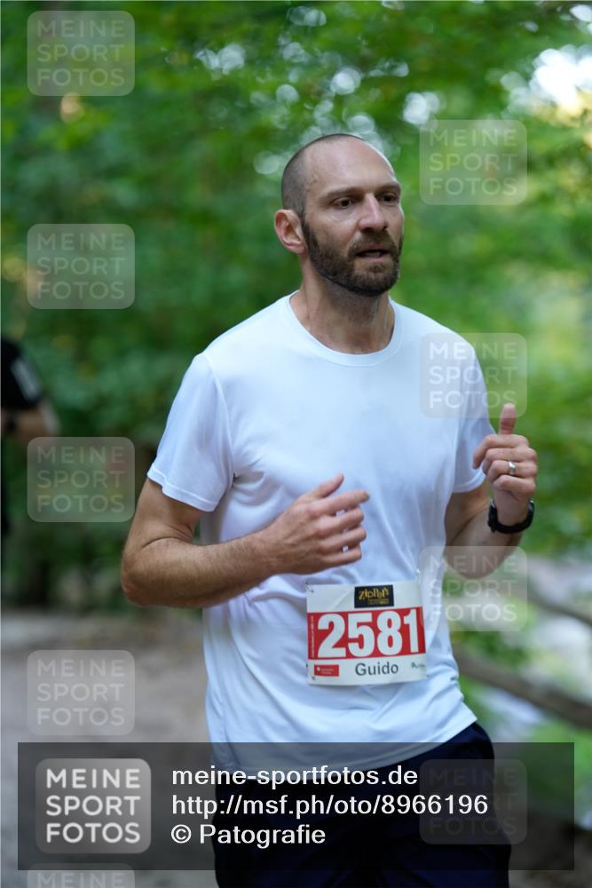 28.09.2025 - 33. Volkslauf durch das schöne Alstertal Patografie http://msf.ph/oto/8966196 28.09.2025 09:32:22 Laufen 2581 meine-sportfotos.de