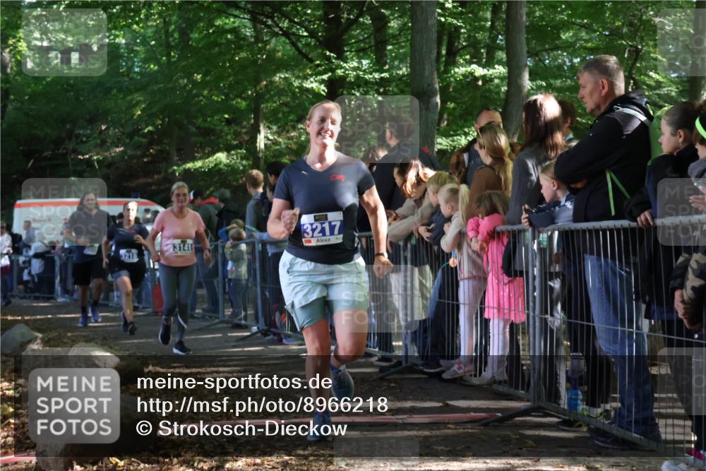 28.09.2025 - 33. Volkslauf durch das schöne Alstertal Strokosch-Dieckow http://msf.ph/oto/8966218 28.09.2025 11:32:36 Ziel 3141, 3217, 3218, 3358, 3959 meine-sportfotos.de