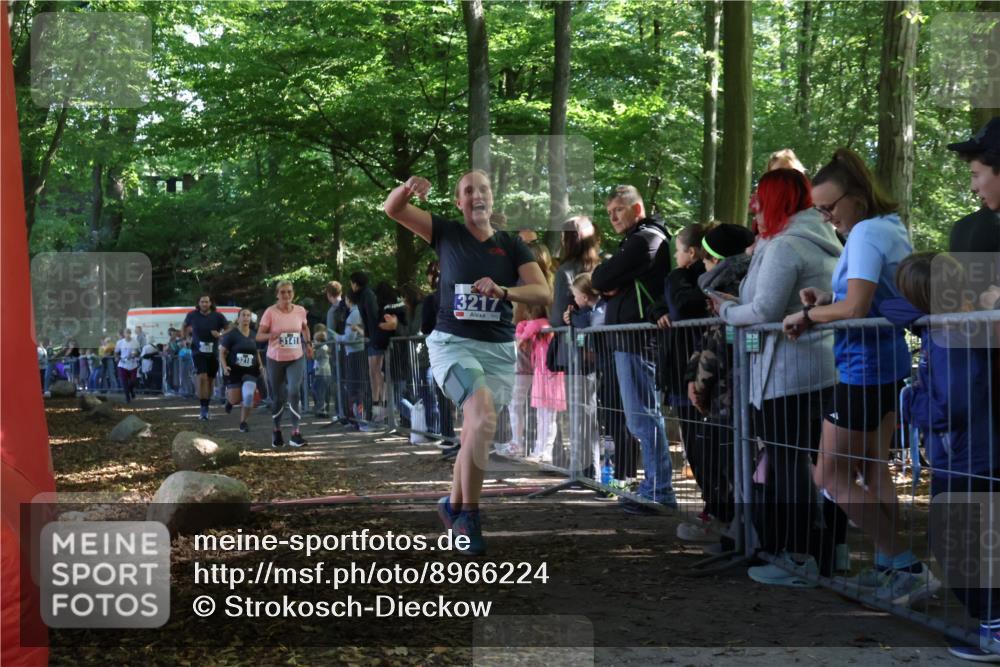 28.09.2025 - 33. Volkslauf durch das schöne Alstertal Strokosch-Dieckow http://msf.ph/oto/8966224 28.09.2025 11:32:36 Ziel 3141, 3217, 3218, 3358, 3959 meine-sportfotos.de