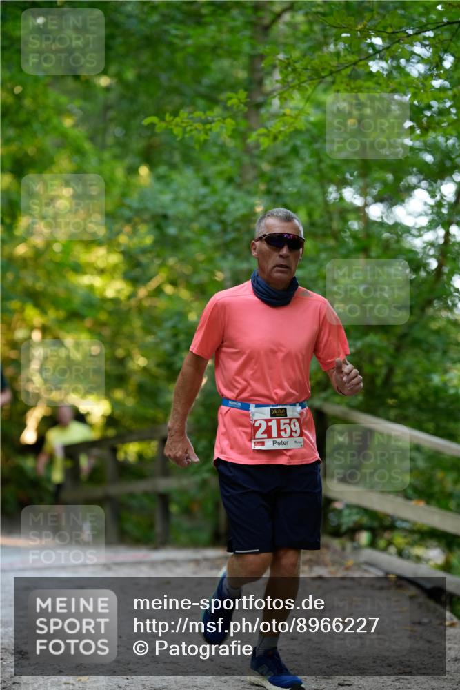 28.09.2025 - 33. Volkslauf durch das schöne Alstertal Patografie http://msf.ph/oto/8966227 28.09.2025 09:33:32 Laufen 2159 meine-sportfotos.de