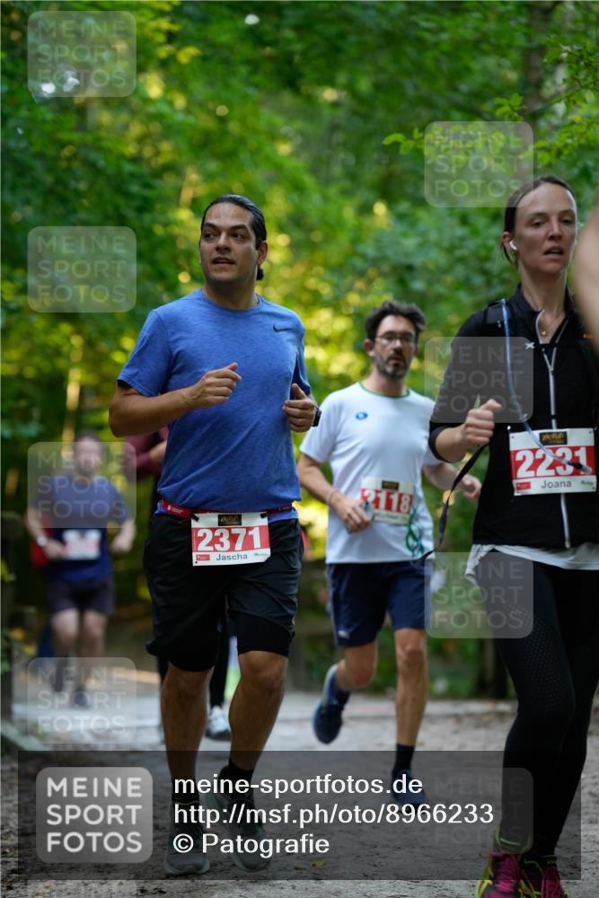 28.09.2025 - 33. Volkslauf durch das schöne Alstertal Patografie http://msf.ph/oto/8966233 28.09.2025 09:33:39 Laufen 2371, 2118, 2231 meine-sportfotos.de