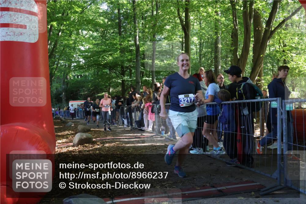 28.09.2025 - 33. Volkslauf durch das schöne Alstertal Strokosch-Dieckow http://msf.ph/oto/8966237 28.09.2025 11:32:37 Ziel 3141, 3217, 3218, 3358, 3959 meine-sportfotos.de