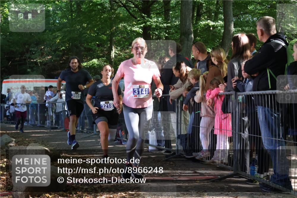 28.09.2025 - 33. Volkslauf durch das schöne Alstertal Strokosch-Dieckow http://msf.ph/oto/8966248 28.09.2025 11:32:38 Ziel 3141, 3218, 3358, 3959 meine-sportfotos.de