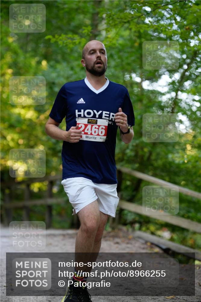 28.09.2025 - 33. Volkslauf durch das schöne Alstertal Patografie http://msf.ph/oto/8966255 28.09.2025 09:34:03 Laufen 2466 meine-sportfotos.de