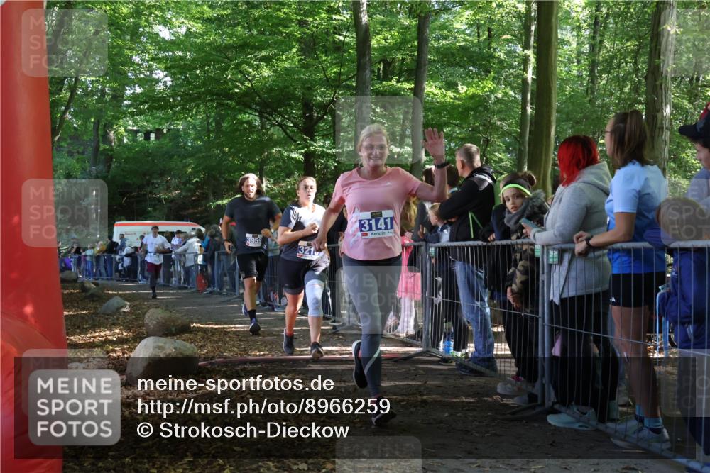 28.09.2025 - 33. Volkslauf durch das schöne Alstertal Strokosch-Dieckow http://msf.ph/oto/8966259 28.09.2025 11:32:38 Ziel 3141, 3218, 3358, 3959 meine-sportfotos.de