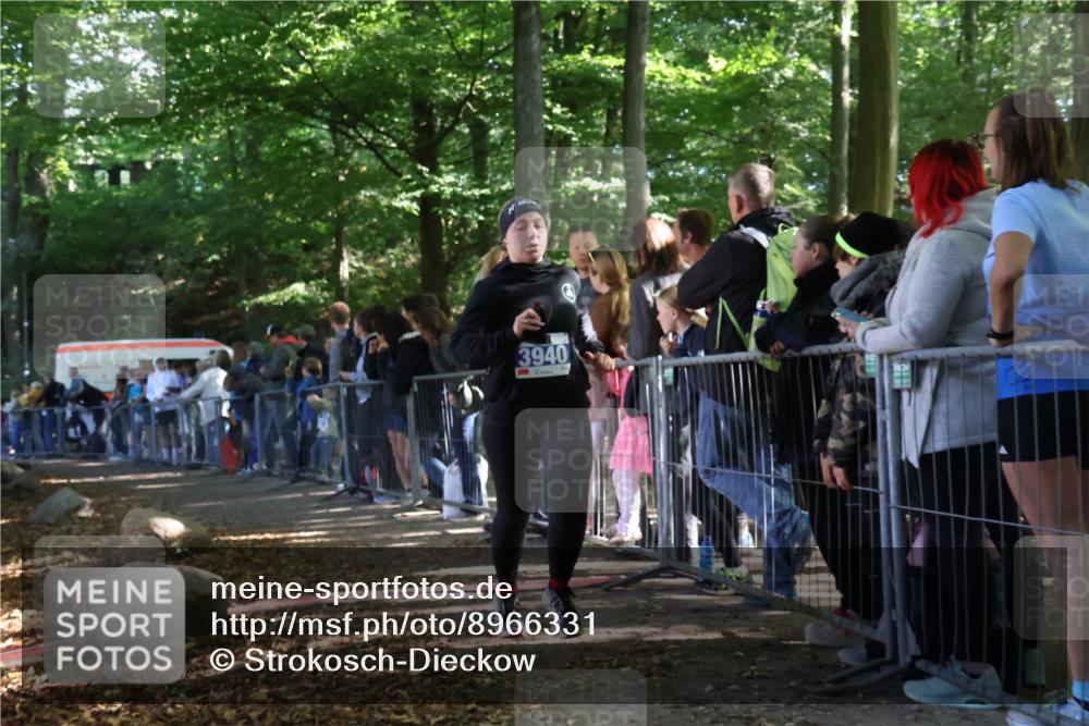 28.09.2025 - 33. Volkslauf durch das schöne Alstertal Strokosch-Dieckow http://msf.ph/oto/8966331 28.09.2025 11:32:55 Ziel 3940 meine-sportfotos.de
