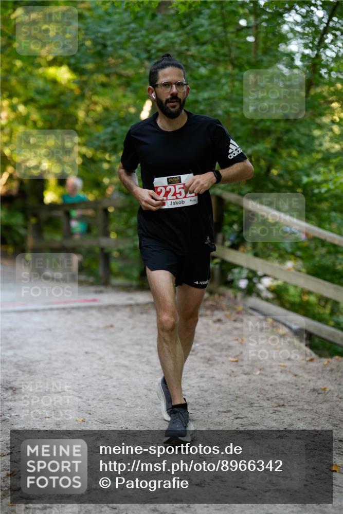 28.09.2025 - 33. Volkslauf durch das schöne Alstertal Patografie http://msf.ph/oto/8966342 28.09.2025 09:36:23 Laufen 225 meine-sportfotos.de