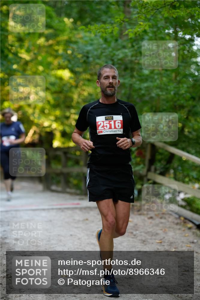 28.09.2025 - 33. Volkslauf durch das schöne Alstertal Patografie http://msf.ph/oto/8966346 28.09.2025 09:36:32 Laufen 1, 1990, 2516 meine-sportfotos.de