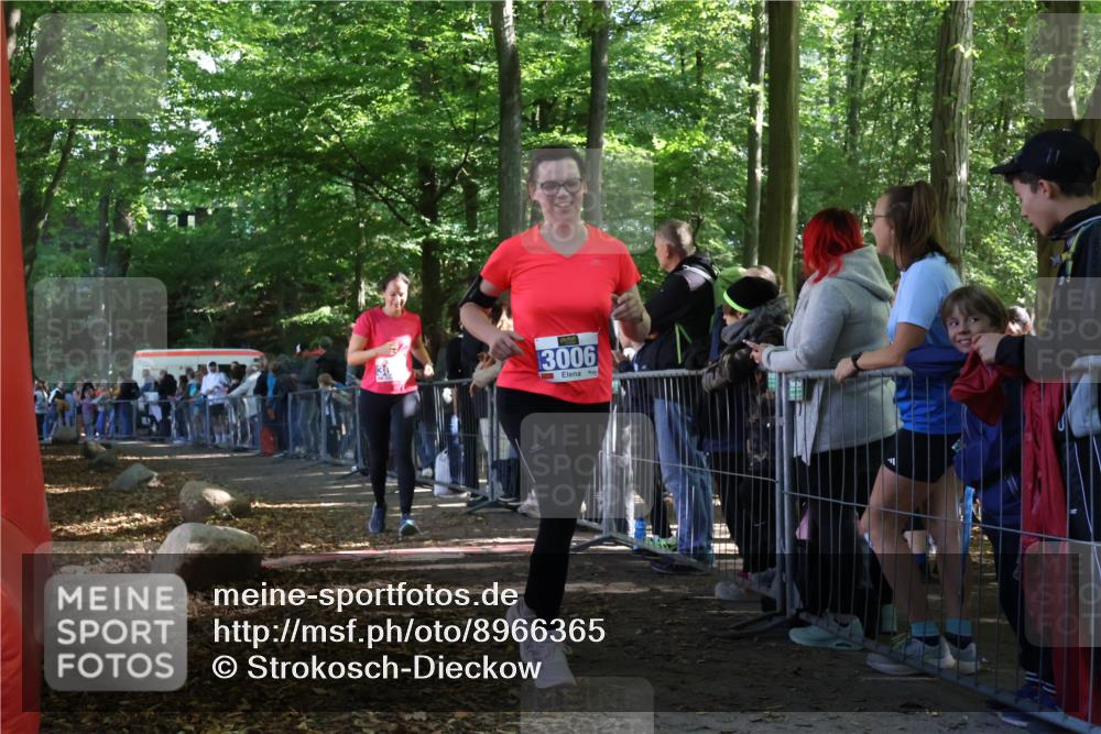 28.09.2025 - 33. Volkslauf durch das schöne Alstertal Strokosch-Dieckow http://msf.ph/oto/8966365 28.09.2025 11:33:09 Ziel 3006, 3059 meine-sportfotos.de
