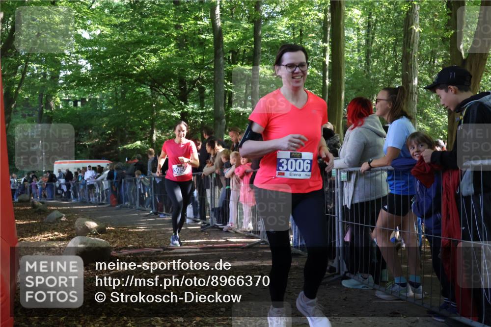 28.09.2025 - 33. Volkslauf durch das schöne Alstertal Strokosch-Dieckow http://msf.ph/oto/8966370 28.09.2025 11:33:10 Ziel 3006, 3059 meine-sportfotos.de