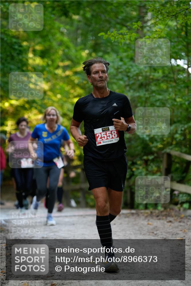 28.09.2025 - 33. Volkslauf durch das schöne Alstertal Patografie http://msf.ph/oto/8966373 28.09.2025 09:37:10 Laufen 2558, 2 meine-sportfotos.de