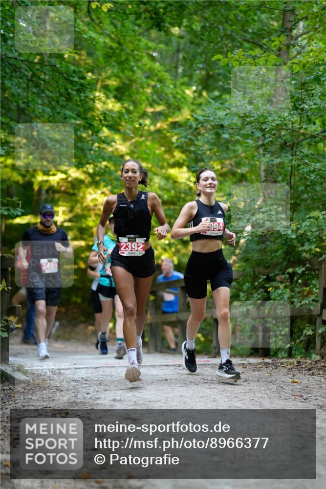 28.09.2025 - 33. Volkslauf durch das schöne Alstertal Patografie http://msf.ph/oto/8966377 28.09.2025 09:37:28 Laufen 2450, 2392, 994 meine-sportfotos.de