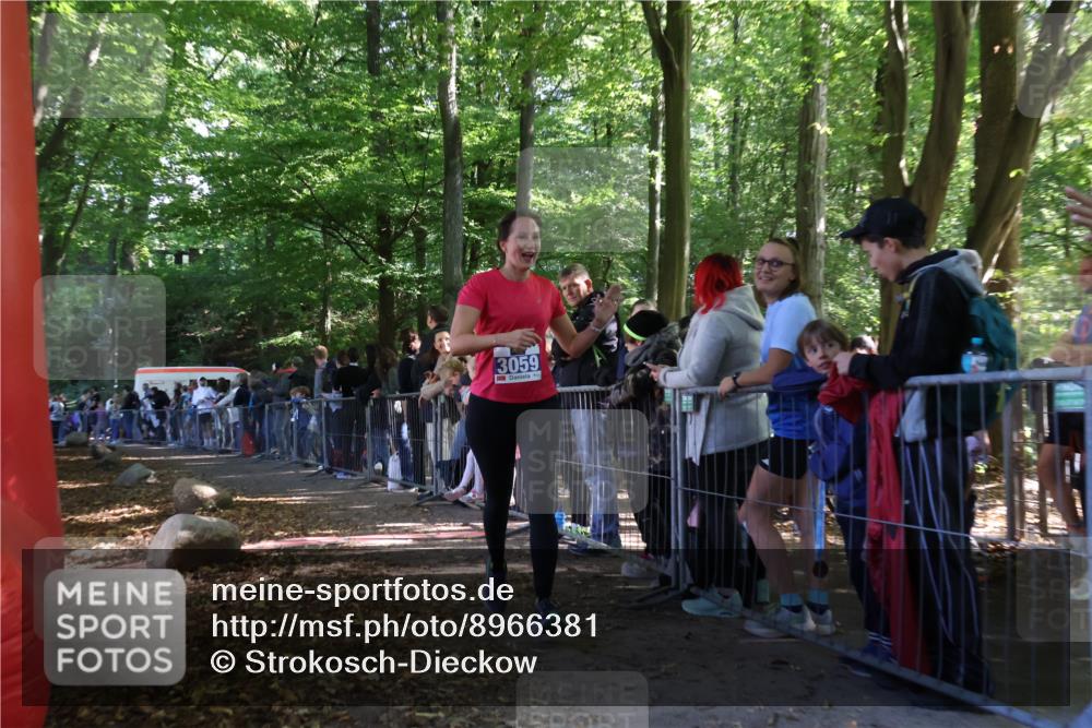 28.09.2025 - 33. Volkslauf durch das schöne Alstertal Strokosch-Dieckow http://msf.ph/oto/8966381 28.09.2025 11:33:11 Ziel 3059 meine-sportfotos.de