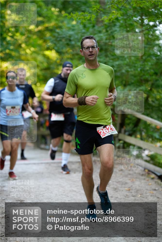 28.09.2025 - 33. Volkslauf durch das schöne Alstertal Patografie http://msf.ph/oto/8966399 28.09.2025 09:37:57 Laufen 2629 meine-sportfotos.de