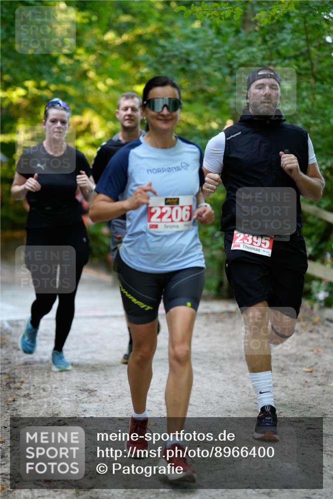 28.09.2025 - 33. Volkslauf durch das schöne Alstertal Patografie http://msf.ph/oto/8966400 28.09.2025 09:37:58 Laufen 2206, 2395 meine-sportfotos.de