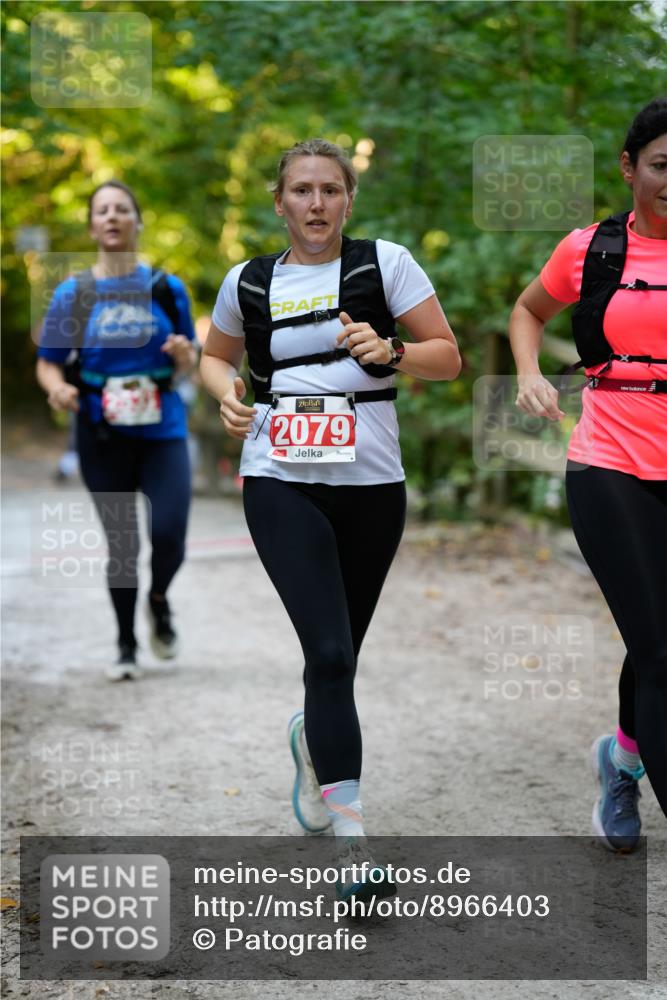 28.09.2025 - 33. Volkslauf durch das schöne Alstertal Patografie http://msf.ph/oto/8966403 28.09.2025 09:38:05 Laufen 2079 meine-sportfotos.de