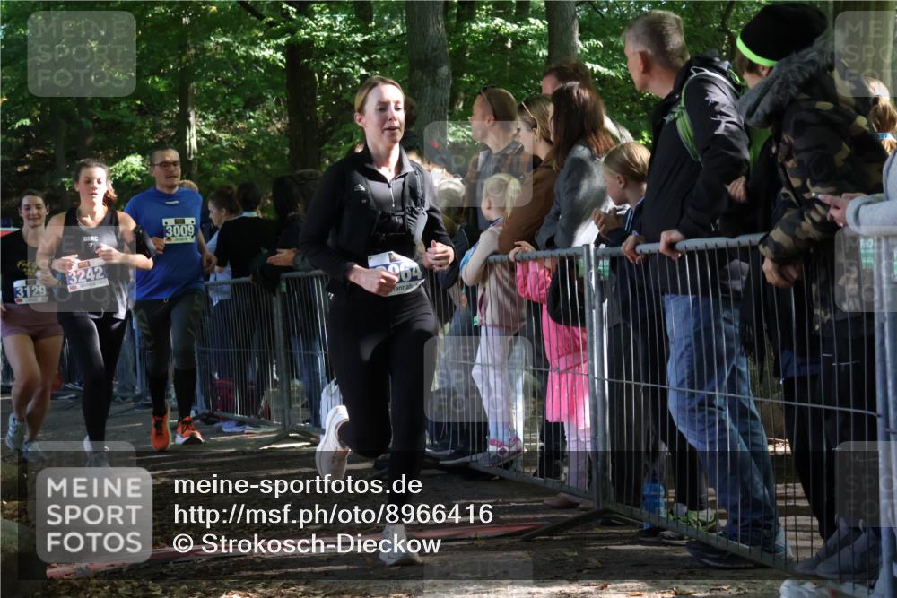 28.09.2025 - 33. Volkslauf durch das schöne Alstertal Strokosch-Dieckow http://msf.ph/oto/8966416 28.09.2025 11:33:26 Ziel 3009, 3064, 3129, 3242 meine-sportfotos.de
