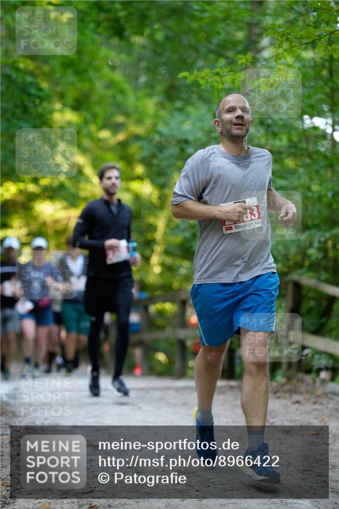 28.09.2025 - 33. Volkslauf durch das schöne Alstertal Patografie http://msf.ph/oto/8966422 28.09.2025 09:38:59 Laufen 2583 meine-sportfotos.de