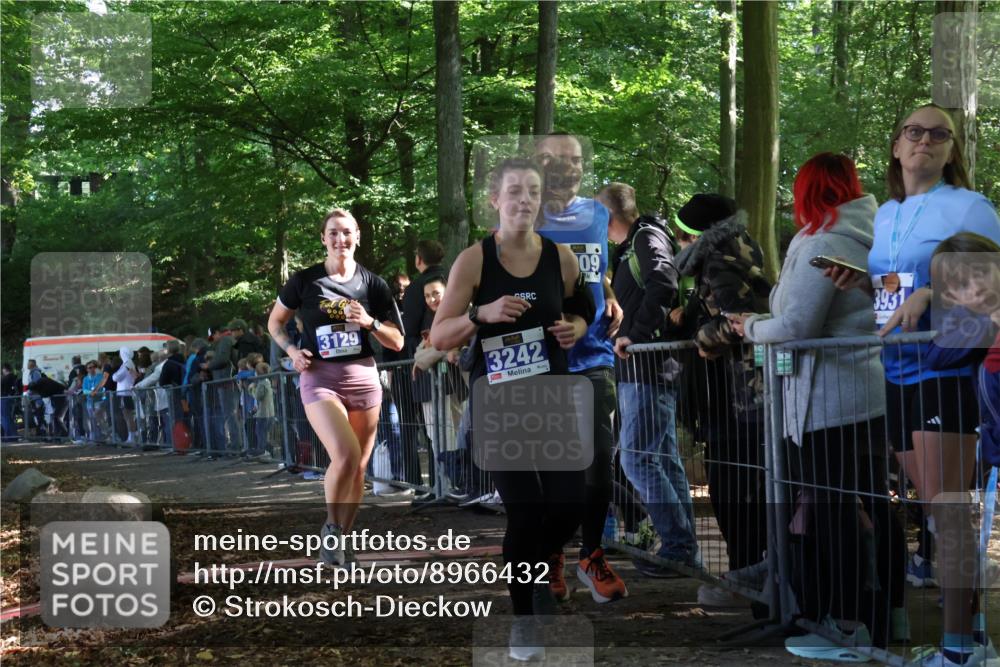 28.09.2025 - 33. Volkslauf durch das schöne Alstertal Strokosch-Dieckow http://msf.ph/oto/8966432 28.09.2025 11:33:28 Ziel 3009, 3129, 3242 meine-sportfotos.de