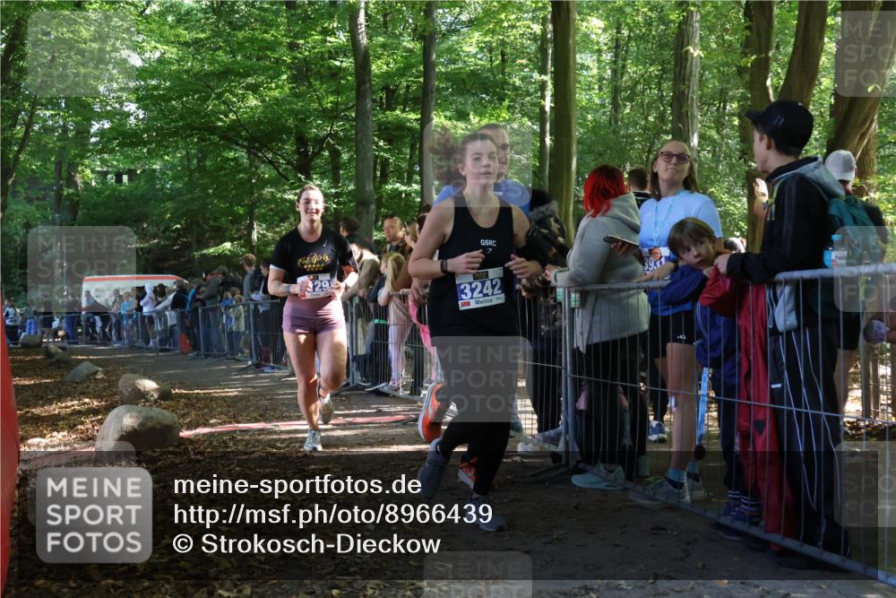 28.09.2025 - 33. Volkslauf durch das schöne Alstertal Strokosch-Dieckow http://msf.ph/oto/8966439 28.09.2025 11:33:28 Ziel 3009, 3129, 3242 meine-sportfotos.de