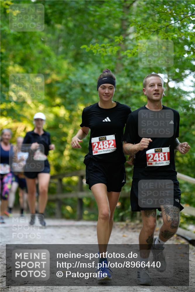 28.09.2025 - 33. Volkslauf durch das schöne Alstertal Patografie http://msf.ph/oto/8966440 28.09.2025 09:39:38 Laufen 2482, 2481 meine-sportfotos.de