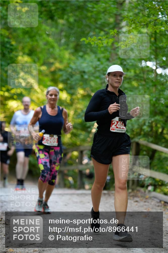 28.09.2025 - 33. Volkslauf durch das schöne Alstertal Patografie http://msf.ph/oto/8966441 28.09.2025 09:39:39 Laufen 2569, 2464 meine-sportfotos.de