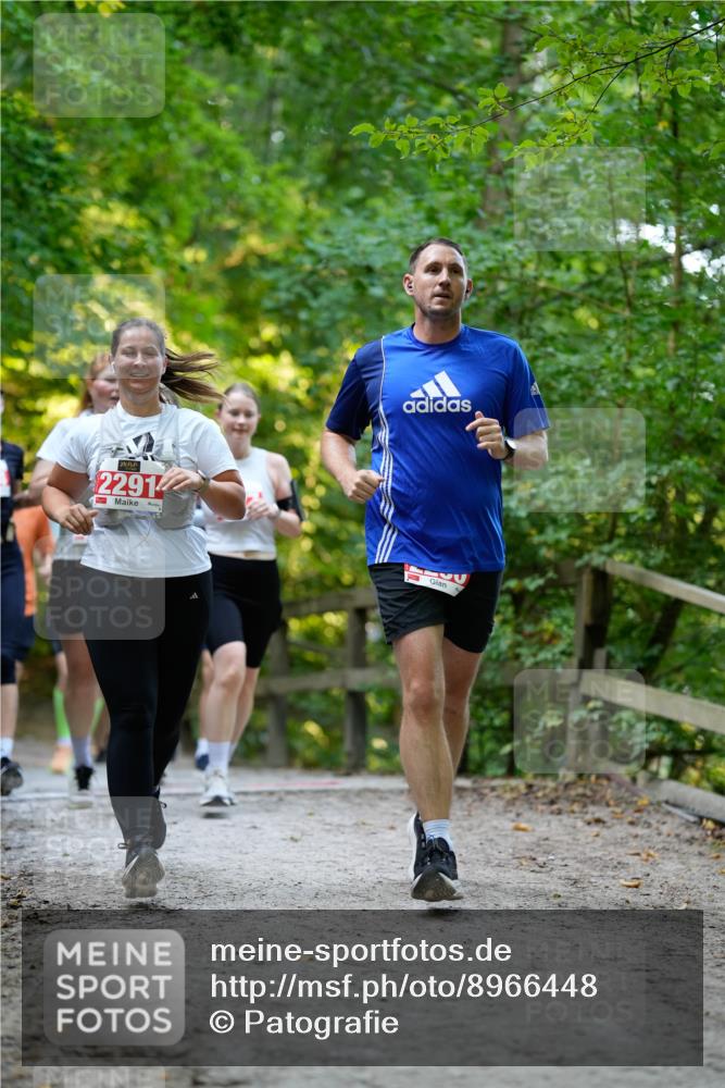 28.09.2025 - 33. Volkslauf durch das schöne Alstertal Patografie http://msf.ph/oto/8966448 28.09.2025 09:39:47 Laufen 2291 meine-sportfotos.de