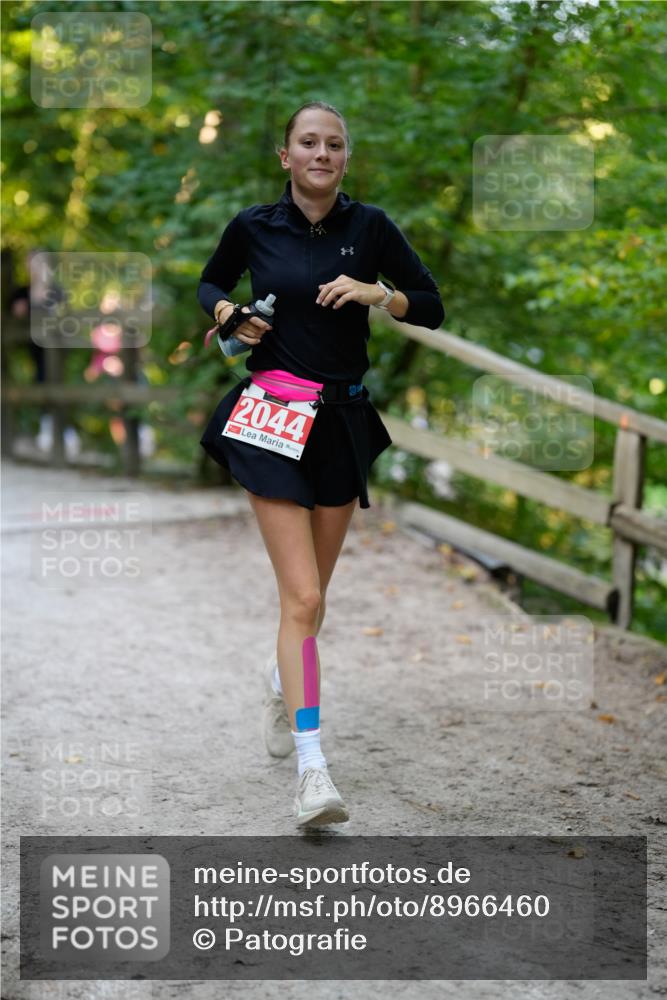 28.09.2025 - 33. Volkslauf durch das schöne Alstertal Patografie http://msf.ph/oto/8966460 28.09.2025 09:40:01 Laufen 2044 meine-sportfotos.de
