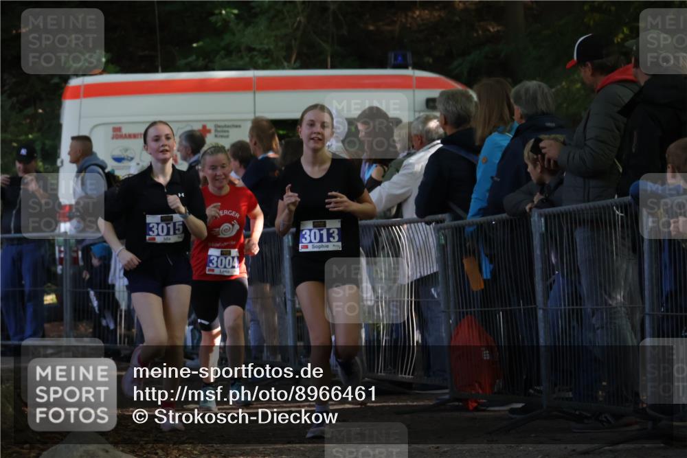 28.09.2025 - 33. Volkslauf durch das schöne Alstertal Strokosch-Dieckow http://msf.ph/oto/8966461 28.09.2025 11:33:38 Ziel 1520, 3004, 3013, 3015 meine-sportfotos.de
