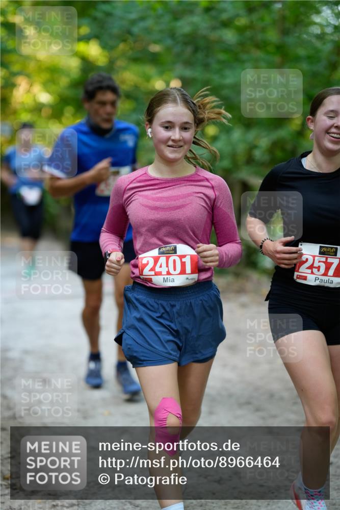 28.09.2025 - 33. Volkslauf durch das schöne Alstertal Patografie http://msf.ph/oto/8966464 28.09.2025 09:40:09 Laufen 2401, 257 meine-sportfotos.de
