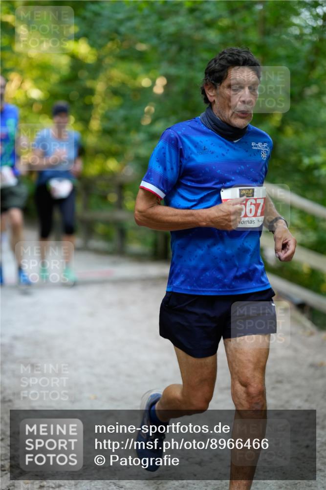 28.09.2025 - 33. Volkslauf durch das schöne Alstertal Patografie http://msf.ph/oto/8966466 28.09.2025 09:40:10 Laufen 2567 meine-sportfotos.de