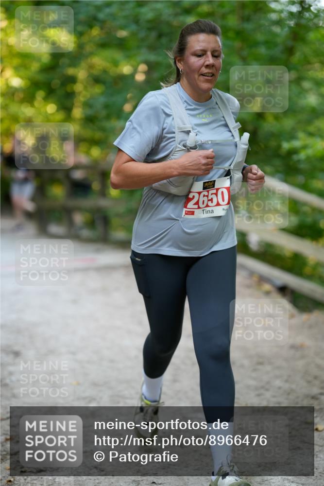 28.09.2025 - 33. Volkslauf durch das schöne Alstertal Patografie http://msf.ph/oto/8966476 28.09.2025 09:40:21 Laufen 2650 meine-sportfotos.de