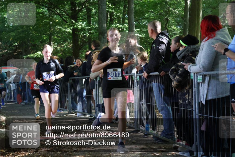 28.09.2025 - 33. Volkslauf durch das schöne Alstertal Strokosch-Dieckow http://msf.ph/oto/8966489 28.09.2025 11:33:42 Ziel 1520, 3004, 3013, 3015, 3103 meine-sportfotos.de