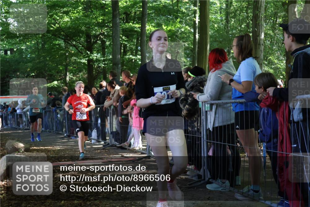 28.09.2025 - 33. Volkslauf durch das schöne Alstertal Strokosch-Dieckow http://msf.ph/oto/8966506 28.09.2025 11:33:44 Ziel 1520, 3004, 3013, 3015, 3103 meine-sportfotos.de