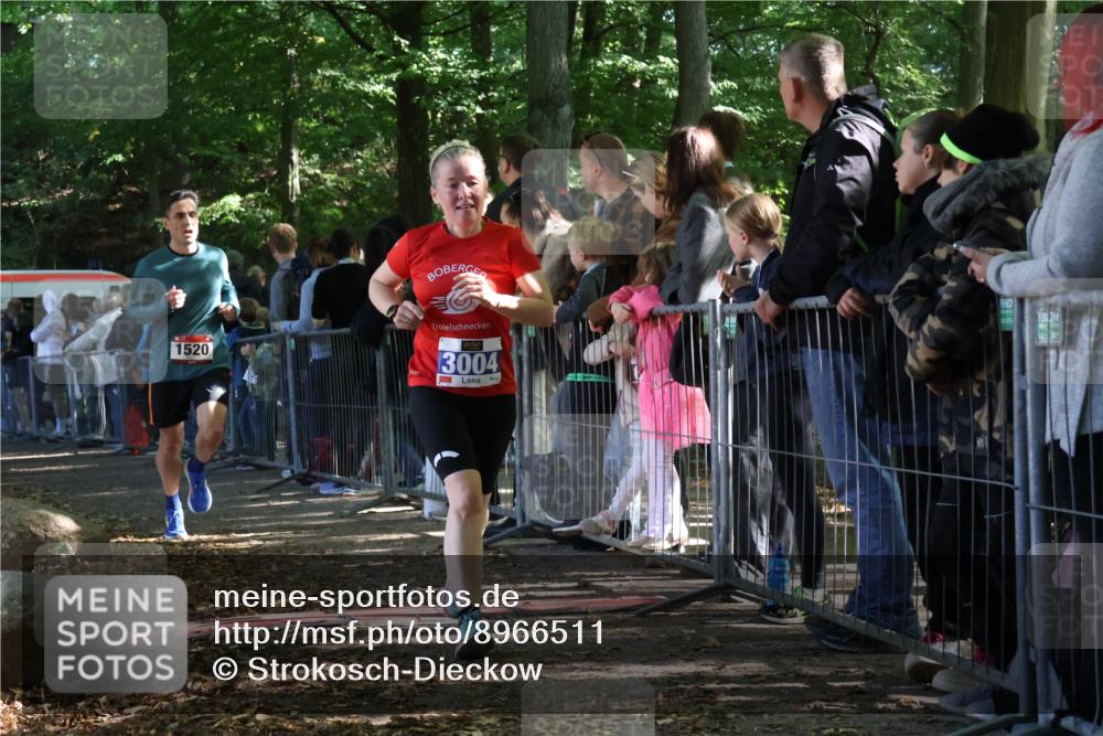 28.09.2025 - 33. Volkslauf durch das schöne Alstertal Strokosch-Dieckow http://msf.ph/oto/8966511 28.09.2025 11:33:44 Ziel 1520, 3004, 3013, 3015, 3103 meine-sportfotos.de
