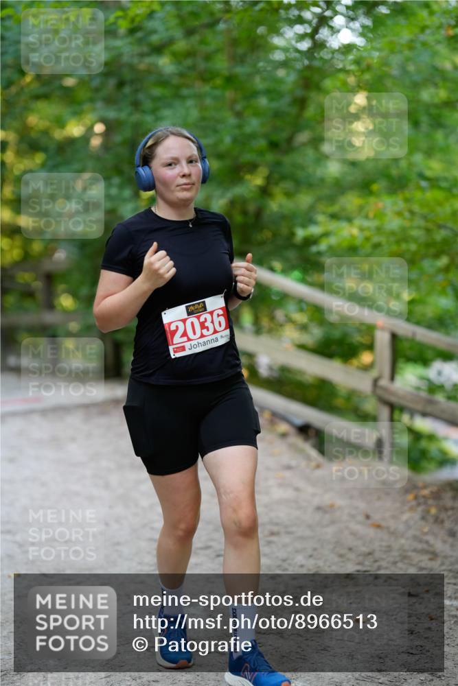 28.09.2025 - 33. Volkslauf durch das schöne Alstertal Patografie http://msf.ph/oto/8966513 28.09.2025 09:41:40 Laufen 2036 meine-sportfotos.de