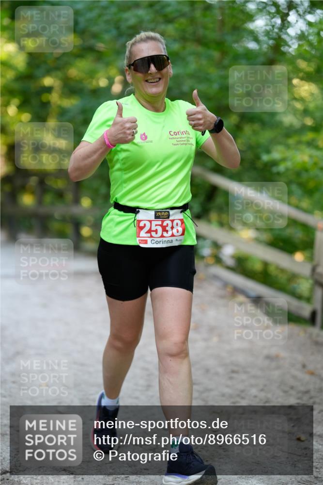 28.09.2025 - 33. Volkslauf durch das schöne Alstertal Patografie http://msf.ph/oto/8966516 28.09.2025 09:41:58 Laufen 225, 2538 meine-sportfotos.de
