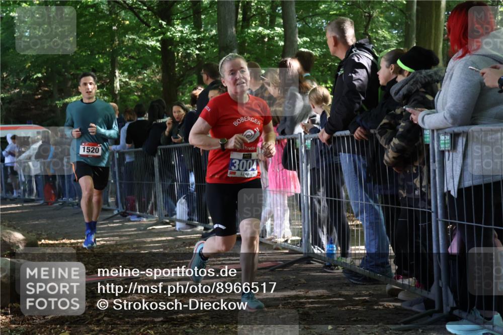 28.09.2025 - 33. Volkslauf durch das schöne Alstertal Strokosch-Dieckow http://msf.ph/oto/8966517 28.09.2025 11:33:45 Ziel 1520, 3004, 3103 meine-sportfotos.de