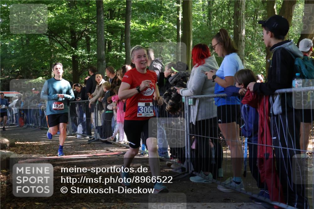 28.09.2025 - 33. Volkslauf durch das schöne Alstertal Strokosch-Dieckow http://msf.ph/oto/8966522 28.09.2025 11:33:45 Ziel 1520, 3004, 3103 meine-sportfotos.de