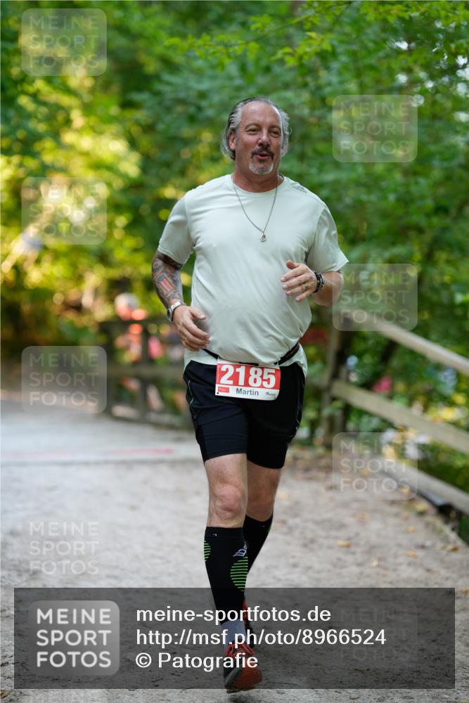 28.09.2025 - 33. Volkslauf durch das schöne Alstertal Patografie http://msf.ph/oto/8966524 28.09.2025 09:42:44 Laufen 2185 meine-sportfotos.de