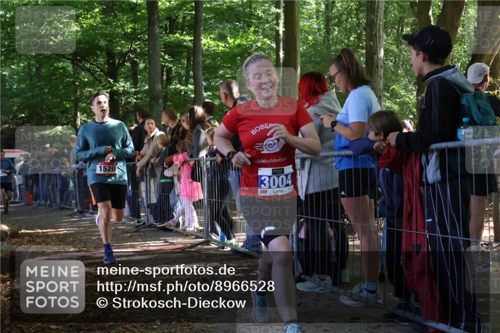 28.09.2025 - 33. Volkslauf durch das schöne Alstertal Strokosch-Dieckow http://msf.ph/oto/8966528 28.09.2025 11:33:46 Ziel 1520, 3004, 3103 meine-sportfotos.de