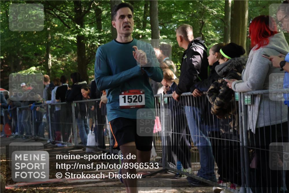 28.09.2025 - 33. Volkslauf durch das schöne Alstertal Strokosch-Dieckow http://msf.ph/oto/8966533 28.09.2025 11:33:46 Ziel 1520, 3004, 3103 meine-sportfotos.de