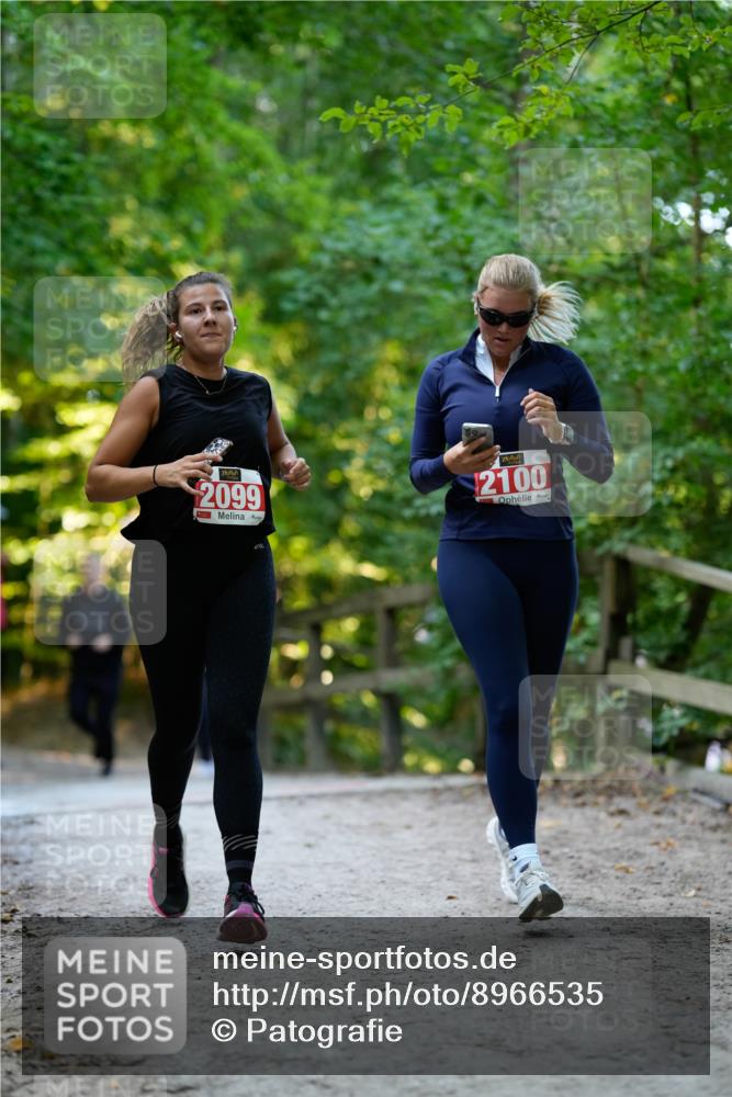 28.09.2025 - 33. Volkslauf durch das schöne Alstertal Patografie http://msf.ph/oto/8966535 28.09.2025 09:43:54 Laufen 2099, 2100 meine-sportfotos.de