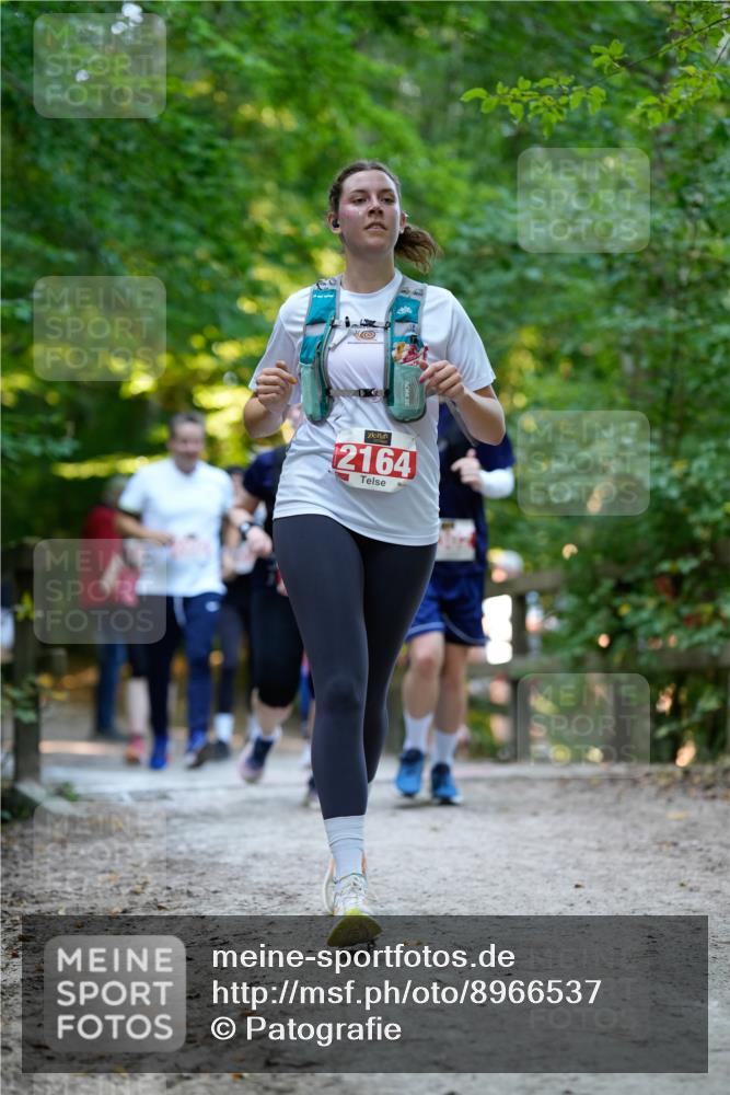 28.09.2025 - 33. Volkslauf durch das schöne Alstertal Patografie http://msf.ph/oto/8966537 28.09.2025 09:44:02 Laufen 2164 meine-sportfotos.de