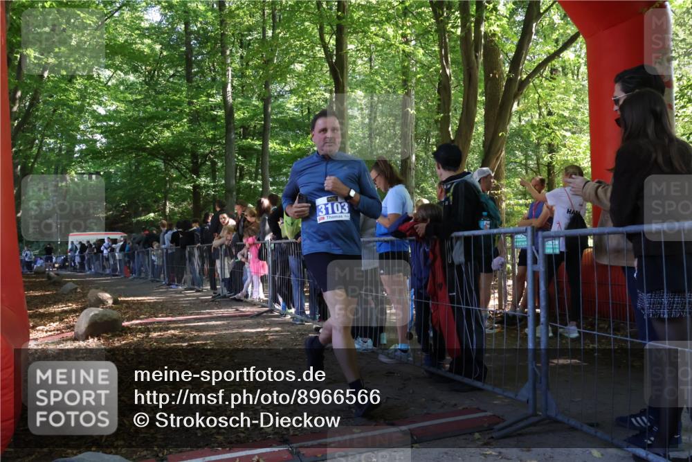 28.09.2025 - 33. Volkslauf durch das schöne Alstertal Strokosch-Dieckow http://msf.ph/oto/8966566 28.09.2025 11:33:51 Ziel 3103 meine-sportfotos.de